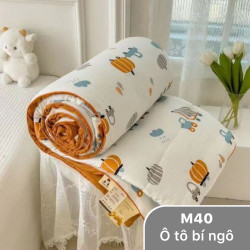 Chăn hè đũi xơ đậu nành mã 40 ô tô bí ngô