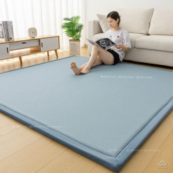 Thảm chiếu băng lạnh màu xanh dương đậm