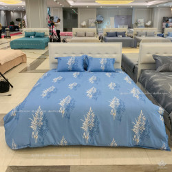 Chăn ga gối Sông Hồng Basic cotton BC24C10