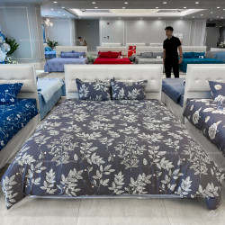 Chăn đông Sông Hồng Basic Elegance BE24E04