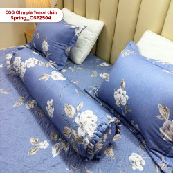 Vỏ gối ôm Olympia Spring OSP2504