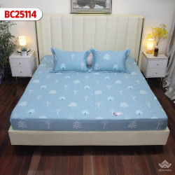 Ga gối Sông Hồng Basic cotton BC25114