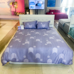 Chăn đông Sông Hồng Basic cotton BC25115
