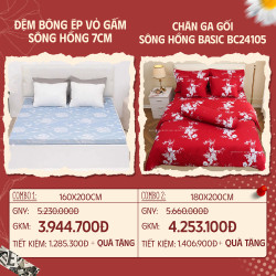 Combo 04: Đệm bông ép Sông Hồng vỏ gấm + CGG SH Basic BC24105