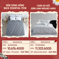 Combo 05: Đệm Sông Hồng Back Essential + CGG gấm lạnh Misuko Haru