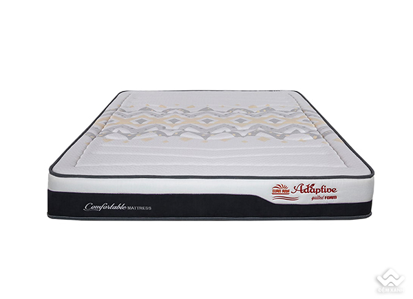 Đệm Foam Tuấn Anh Quilted Adaptive