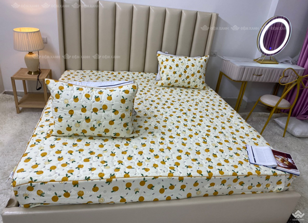 Bộ ga gối chun chần xơ đậu nành mã 06 Quả cam
