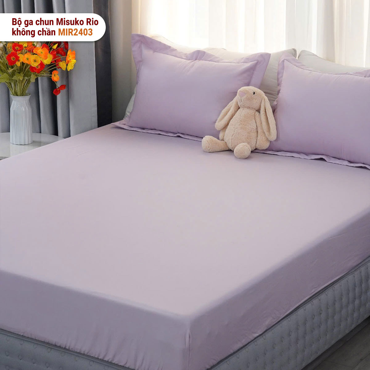 Bộ ga gối chun không chần Misuko Rio MIR2403 màu tím